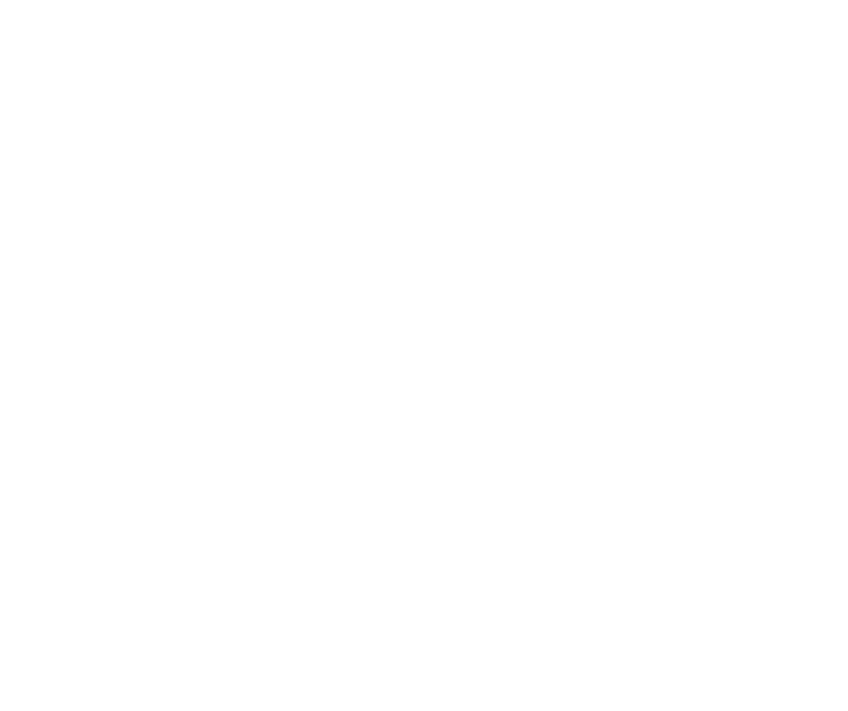 Rt 4 Raised